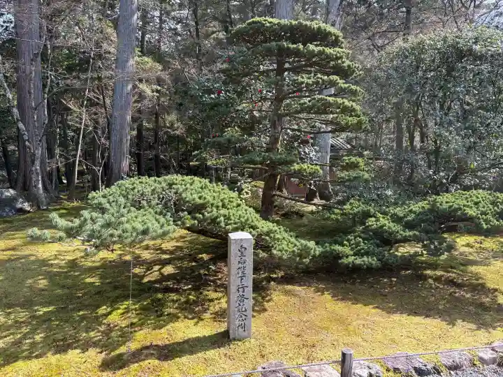 西芳寺の{uncategorized: "未分類", other: "その他", undefined: "問題あり", building: "その他建物", grave: "お墓", sacred_gate: "鳥居", guardian: "狛犬", statue: "像", buddha: "仏像", history: "歴史", nature: "自然", garden: "庭園", animal: "動物", pagoda: "塔", temizu: "手水舎", mountain_gate: "山門・神門", sanctuary: "本殿・本堂", subordinate: "末社・摂社", art: "芸術", scenery: "景色", jizo: "地蔵", ema: "絵馬", goshuin: "御朱印", omikuji: "おみくじ", items: "授与品その他", amulet: "お守り", goshuincho: "御朱印帳", eats: "食事", festival: "お祭り", votive_dance: "神楽", shichigosan: "七五三参", wedding: "結婚式", experience: "体験その他", initially: "初詣", around: "周辺", anti_infection: "感染症対策"}