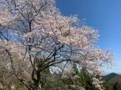 武蔵御嶽神社の自然