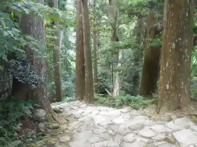 飛瀧神社(熊野那智大社別宮)(和歌山県)