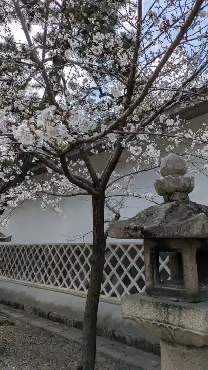 御香宮神社(京都府)