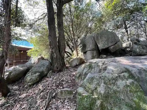 國分八幡宮の自然