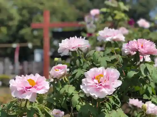 箭弓稲荷神社の庭園