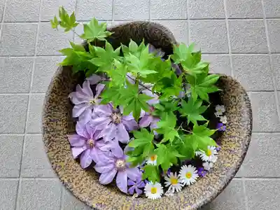 美瑛神社の手水舎