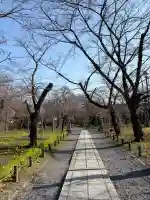 平野神社の{uncategorized: "未分類", other: "その他", undefined: "問題あり", building: "その他建物", grave: "お墓", sacred_gate: "鳥居", guardian: "狛犬", statue: "像", buddha: "仏像", history: "歴史", nature: "自然", garden: "庭園", animal: "動物", pagoda: "塔", temizu: "手水舎", mountain_gate: "山門・神門", sanctuary: "本殿・本堂", subordinate: "末社・摂社", art: "芸術", scenery: "景色", jizo: "地蔵", ema: "絵馬", goshuin: "御朱印", omikuji: "おみくじ", items: "授与品その他", amulet: "お守り", goshuincho: "御朱印帳", eats: "食事", festival: "お祭り", votive_dance: "神楽", shichigosan: "七五三参", wedding: "結婚式", experience: "体験その他", initially: "初詣", around: "周辺", anti_infection: "感染症対策"}