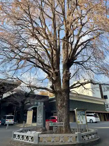 善福寺(東京都)