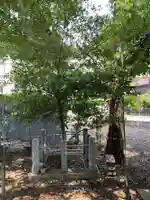 寿恵野神社(愛知県)