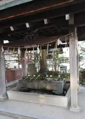 白鬚神社の手水舎