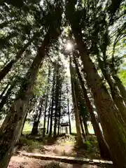 山家神社の自然