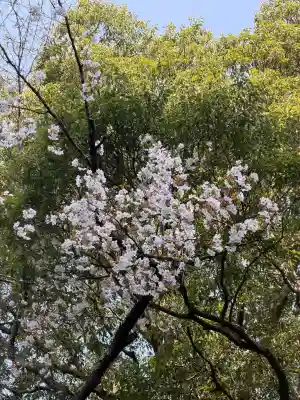 月夜見宮（豊受大神宮別宮）の{uncategorized: "未分類", other: "その他", undefined: "問題あり", building: "その他建物", grave: "お墓", sacred_gate: "鳥居", guardian: "狛犬", statue: "像", buddha: "仏像", history: "歴史", nature: "自然", garden: "庭園", animal: "動物", pagoda: "塔", temizu: "手水舎", mountain_gate: "山門・神門", sanctuary: "本殿・本堂", subordinate: "末社・摂社", art: "芸術", scenery: "景色", jizo: "地蔵", ema: "絵馬", goshuin: "御朱印", omikuji: "おみくじ", items: "授与品その他", amulet: "お守り", goshuincho: "御朱印帳", eats: "食事", festival: "お祭り", votive_dance: "神楽", shichigosan: "七五三参", wedding: "結婚式", experience: "体験その他", initially: "初詣", around: "周辺", anti_infection: "感染症対策"}