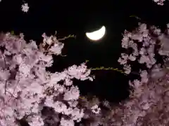 瀧桜神明宮の自然