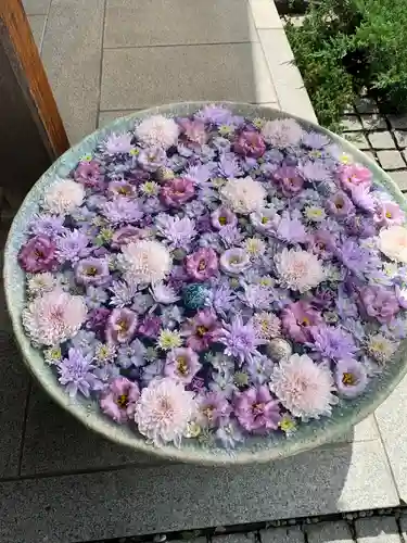 行田八幡神社(埼玉県)