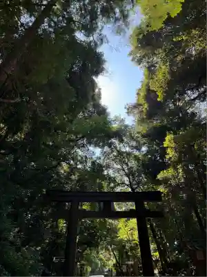 石上神宮(奈良県)