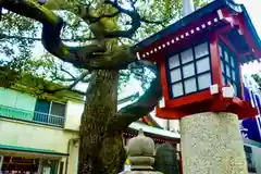 金刀比羅大鷲神社の建物その他