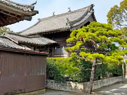 大村神社(長崎県)
