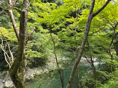 西明寺(京都府)