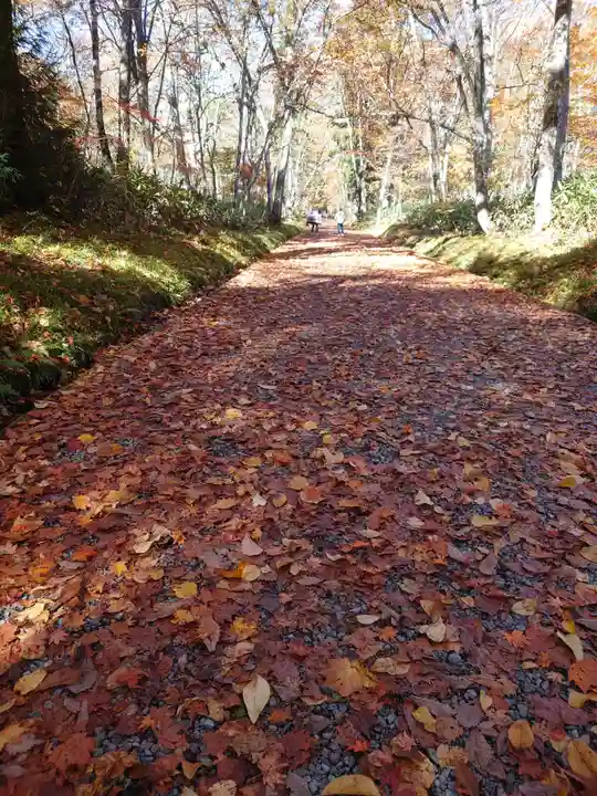 戸隠神社奥社(長野県)