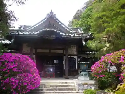安養院　(田代寺）の本殿・本堂