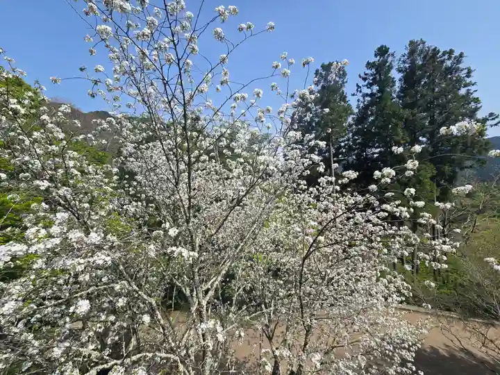 能満院(奈良県)