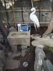 於玉稲荷神社の手水