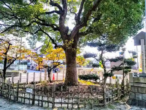 神明社（亥新田神明社）のその他建物