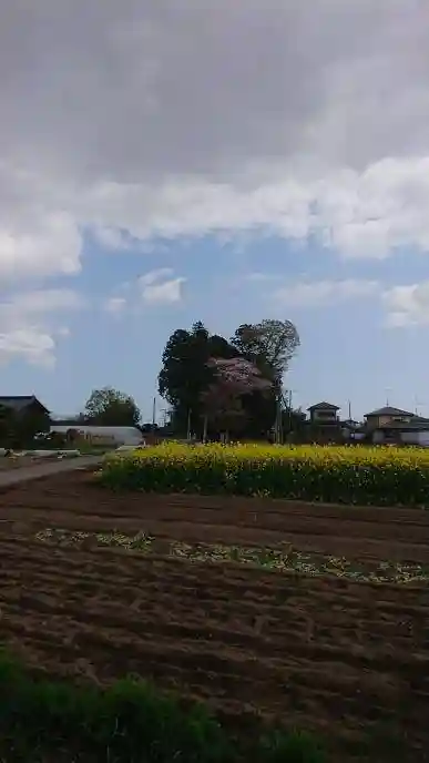 酒門神社の周辺