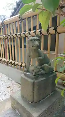 師岡熊野神社の狛犬