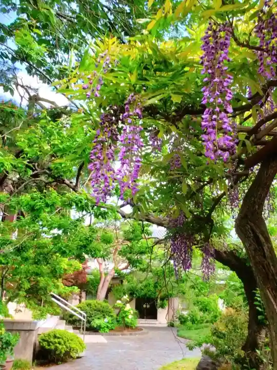 圓照寺(東京都)