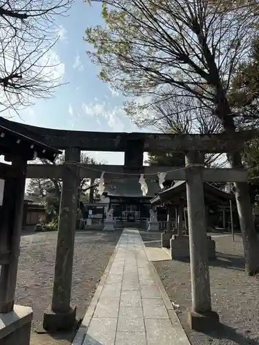 森野住吉神社(東京都)