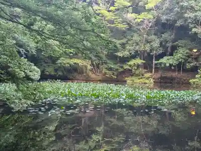 伊勢神宮内宮（皇大神宮）(三重県)
