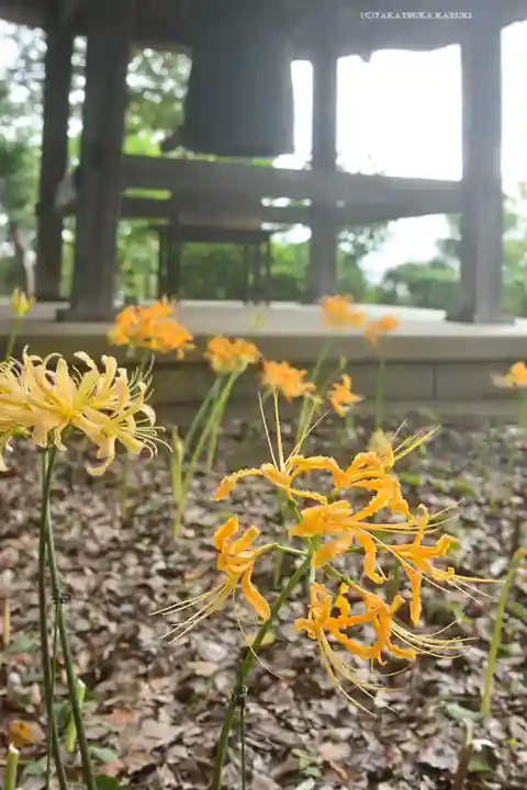 横浜 西方寺(神奈川県)