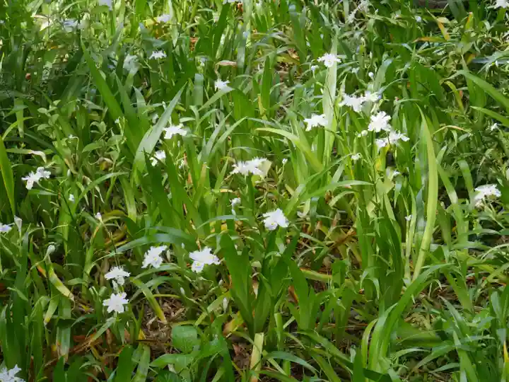 最勝寺教学院の自然