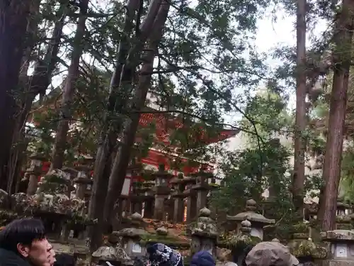 春日大社(奈良県)