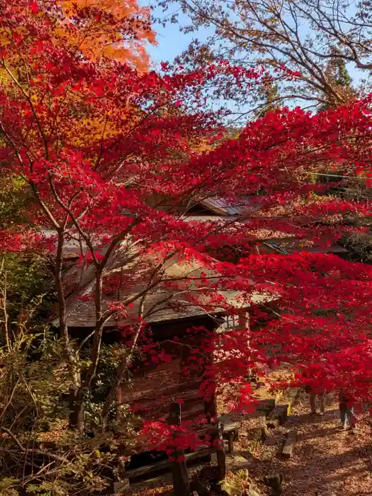 大山寺(神奈川県)
