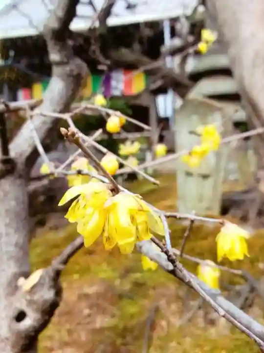 常性寺(東京都)