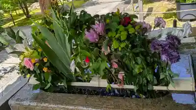 勝林寺(京都府)