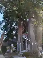 武雄神社(佐賀県)