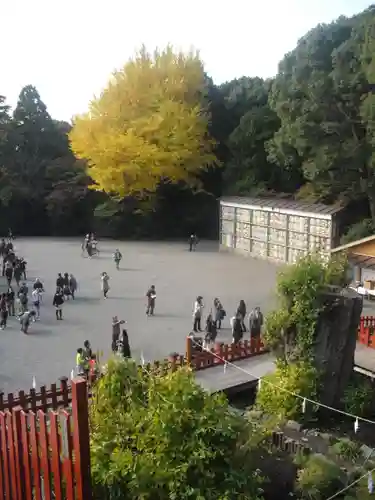 鶴岡八幡宮の景色