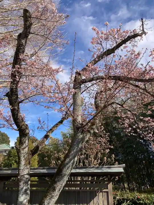 法輪寺(神奈川県)