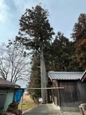 八幡神社(水口町新城)の{uncategorized: "未分類", other: "その他", undefined: "問題あり", building: "その他建物", grave: "お墓", sacred_gate: "鳥居", guardian: "狛犬", statue: "像", buddha: "仏像", history: "歴史", nature: "自然", garden: "庭園", animal: "動物", pagoda: "塔", temizu: "手水舎", mountain_gate: "山門・神門", sanctuary: "本殿・本堂", subordinate: "末社・摂社", art: "芸術", scenery: "景色", jizo: "地蔵", ema: "絵馬", goshuin: "御朱印", omikuji: "おみくじ", items: "授与品その他", amulet: "お守り", goshuincho: "御朱印帳", eats: "食事", festival: "お祭り", votive_dance: "神楽", shichigosan: "七五三参", wedding: "結婚式", experience: "体験その他", initially: "初詣", around: "周辺", anti_infection: "感染症対策"}