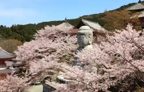南法華寺（壷阪寺）(奈良県)