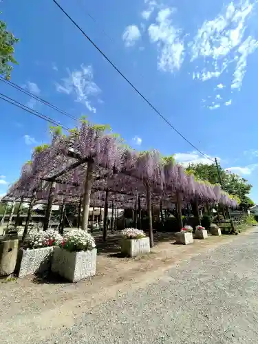 日吉神社の{uncategorized: "未分類", other: "その他", undefined: "問題あり", building: "その他建物", grave: "お墓", sacred_gate: "鳥居", guardian: "狛犬", statue: "像", buddha: "仏像", history: "歴史", nature: "自然", garden: "庭園", animal: "動物", pagoda: "塔", temizu: "手水舎", mountain_gate: "山門・神門", sanctuary: "本殿・本堂", subordinate: "末社・摂社", art: "芸術", scenery: "景色", jizo: "地蔵", ema: "絵馬", goshuin: "御朱印", omikuji: "おみくじ", items: "授与品その他", amulet: "お守り", goshuincho: "御朱印帳", eats: "食事", festival: "お祭り", votive_dance: "神楽", shichigosan: "七五三参", wedding: "結婚式", experience: "体験その他", initially: "初詣", around: "周辺", anti_infection: "感染症対策"}
