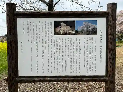 慈眼寺(埼玉県)