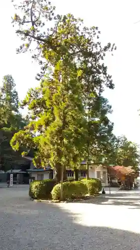 大縣神社の自然