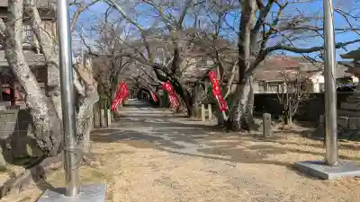 無量寺の{uncategorized: "未分類", other: "その他", undefined: "問題あり", building: "その他建物", grave: "お墓", sacred_gate: "鳥居", guardian: "狛犬", statue: "像", buddha: "仏像", history: "歴史", nature: "自然", garden: "庭園", animal: "動物", pagoda: "塔", temizu: "手水舎", mountain_gate: "山門・神門", sanctuary: "本殿・本堂", subordinate: "末社・摂社", art: "芸術", scenery: "景色", jizo: "地蔵", ema: "絵馬", goshuin: "御朱印", omikuji: "おみくじ", items: "授与品その他", amulet: "お守り", goshuincho: "御朱印帳", eats: "食事", festival: "お祭り", votive_dance: "神楽", shichigosan: "七五三参", wedding: "結婚式", experience: "体験その他", initially: "初詣", around: "周辺", anti_infection: "感染症対策"}