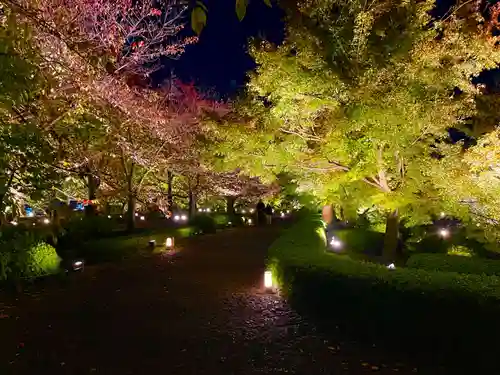 東寺（教王護国寺）(京都府)