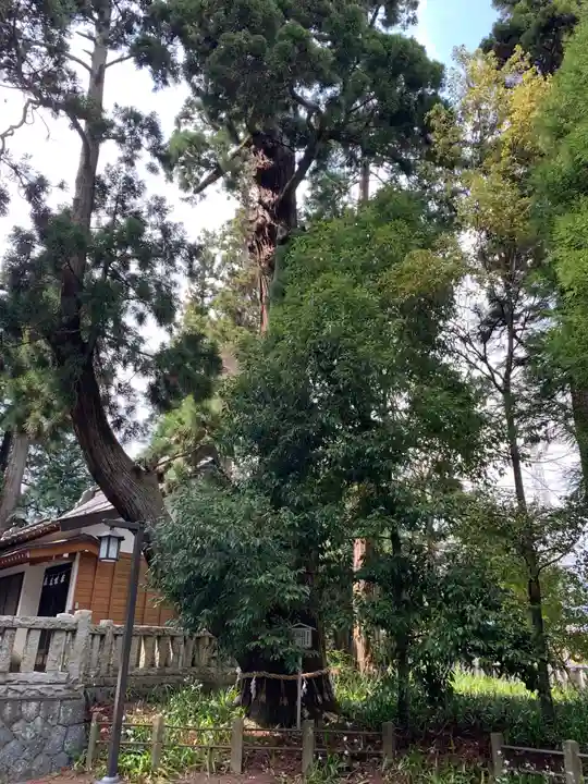 一幣司浅間神社の自然