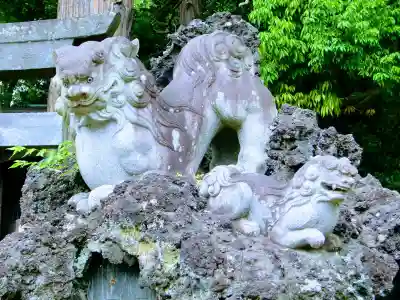 大日神社の狛犬