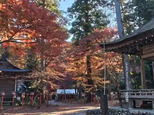日吉大社(滋賀県)