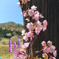 高司神社〜むすびの神の鎮まる社〜の自然