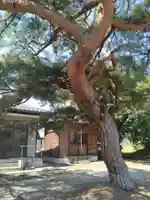 富士神社(伊達崎)(福島県)